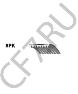 3939710 DCEC Ремень 8PK1803 (EQB 140-20), шт в городе Екатеринбург